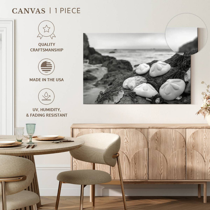 White Crescent Beach Shells IV, 30" H x 45" W