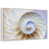 Floating Frame White