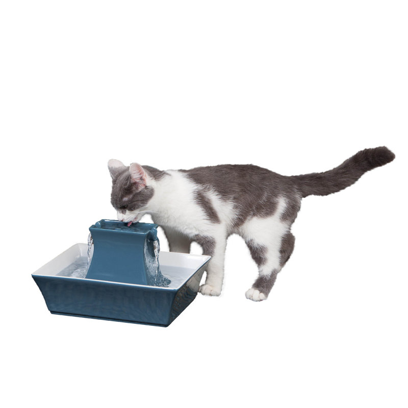 PetSafe Drinkwell Pagoda Pet Fountain, Himalayan Blue, Blue