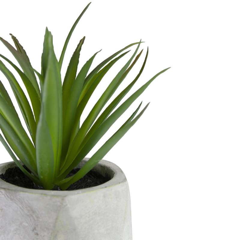 Plante grasse artificielle en pot 6 po