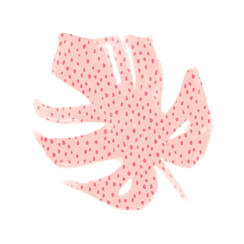 Pink Monstera - Wrapped Canvas Print, 91cm H x 91cm W x 3.8cm D