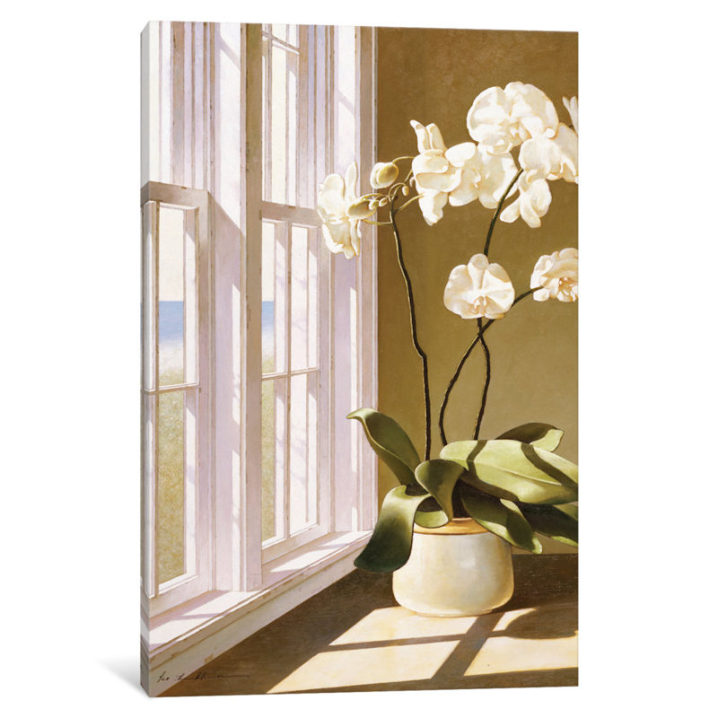 « pot of orchidées », reproduction de photo sur toile tendue, H 12 po x l 8 po x P 0,75 po, Toile tendue, Pas de tapis