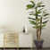 Panama 58'' Artificial Scindapsus Aureus Tree in Planter