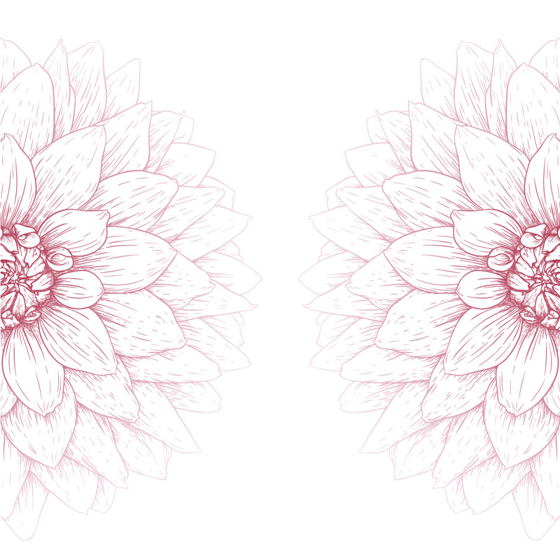 Vector Dahlia Flower by Chelnok - Wrapped Canvas Print, 51cm H x 51cm W