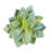 4'' Faux Succulent