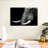 Brampt Elephant Close Up-107681047