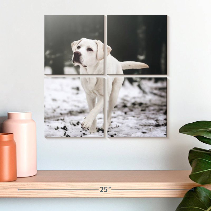 Brampt Labrador Retriever, H 18 po x l 18 po
