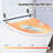 Heated Seat Toilet - Adjustable Temp, Dual Flush, Foot Infrared Sensor, Led Night , Compact Model Space