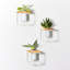5'' H Wall Wall Sconce-71848937