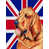 Bloodhound