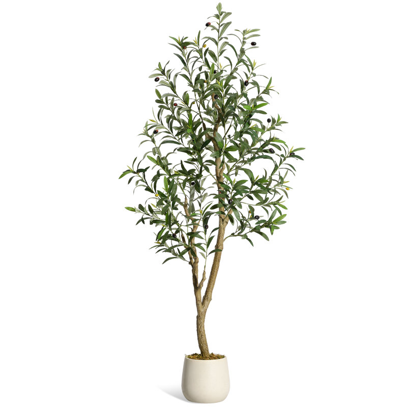 Plant, 1, 152cm H x 20cm W x 20cm D