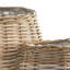 Handmade Seagrass Planter Set