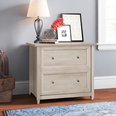 Ariza 33.31'' Wide 2 -Drawer File Cabinet