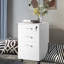 Marnyn 16.9'' Wide 3 -Drawer File Cabinet