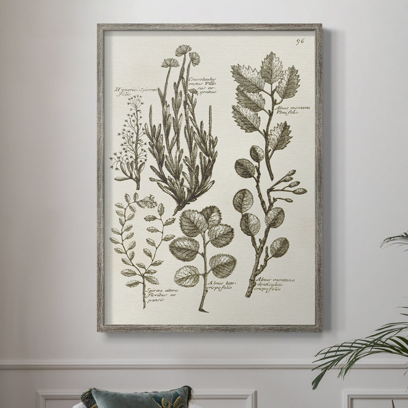 «Sepia Botanical Journal», reproduction encadrée en bois massif, H 11 po x l 9 po