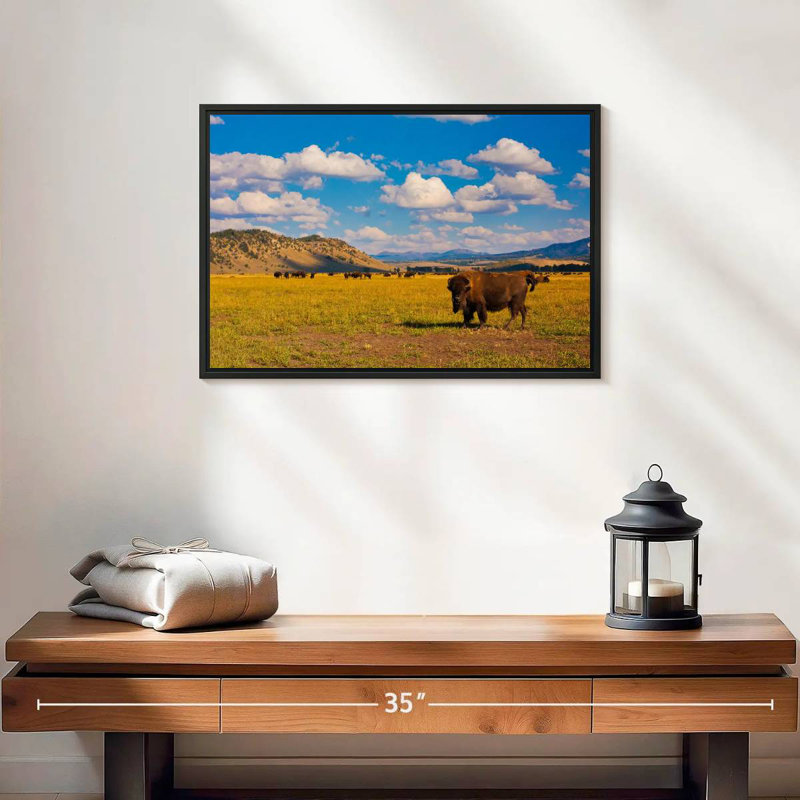 Bison dans le parc national, 19 po x 13 po, Cadre flottant noir