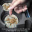 Ensemble de 2 sous-verres Monterey Bay Sea Turtles