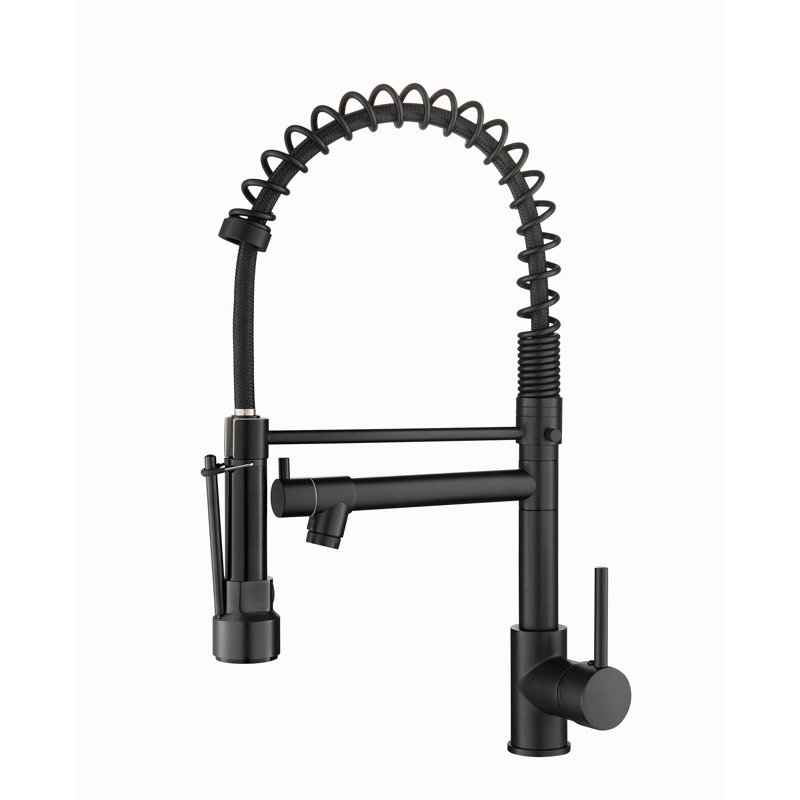Robinet de cuisine avec douchette rétractable, robinet d'évier de cuisine à poignée simple, Noir