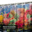 Rideau de douche avec 12 crochets-14986718