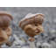 Copemish Plants & Flowers Plastic Garden Statue