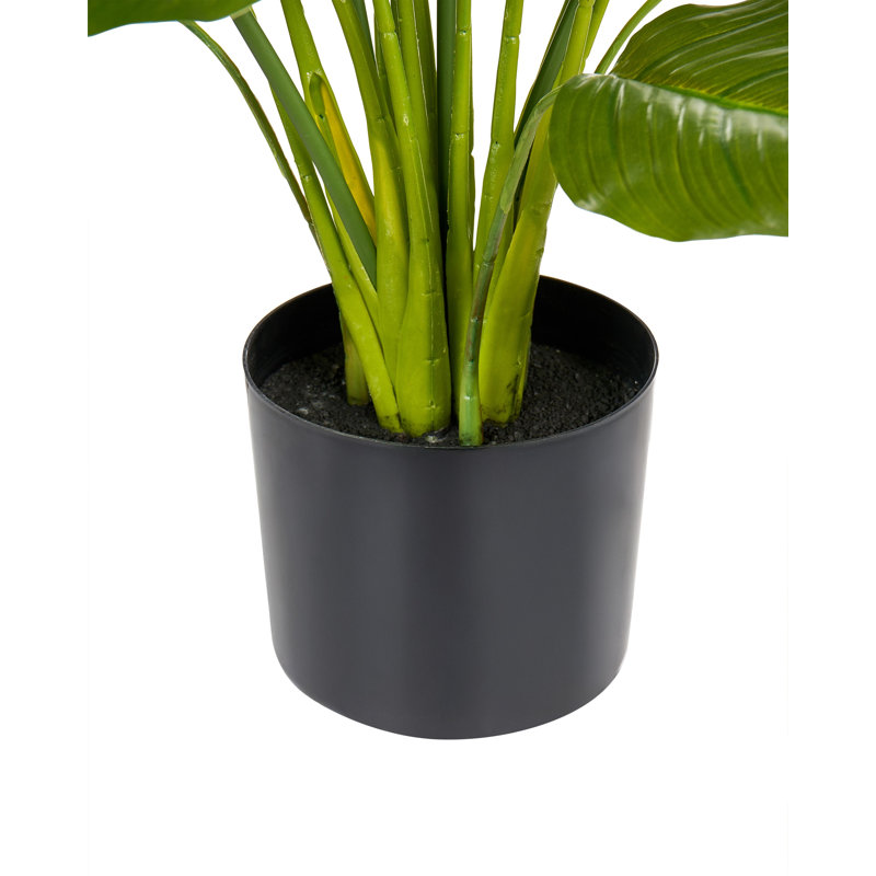 Artificial Plant SPATHPHYLLUM 70 cm Green