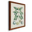 «Buchoz Tropicals VII», reproduction d'art sur toile simple-88381411-88381414
