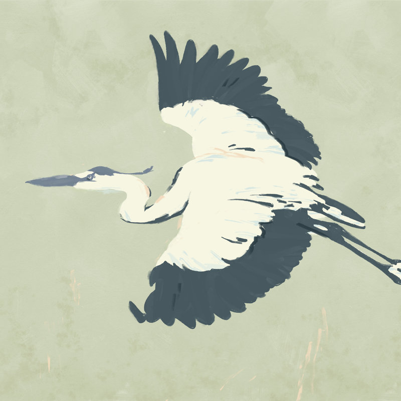 Heron Flying II by Jacob Green - Wrapped Canvas Painting, 91cm H x 91cm W