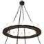 36 - Light Chandelier