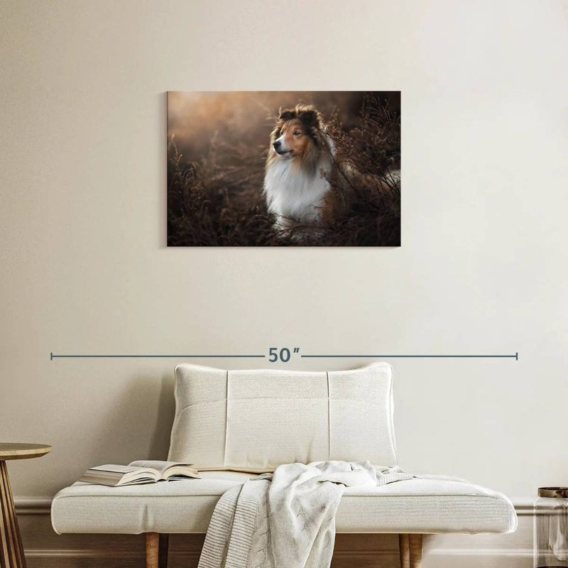 Bramelt, magnifique sheltie, H 20 po x l 30 po