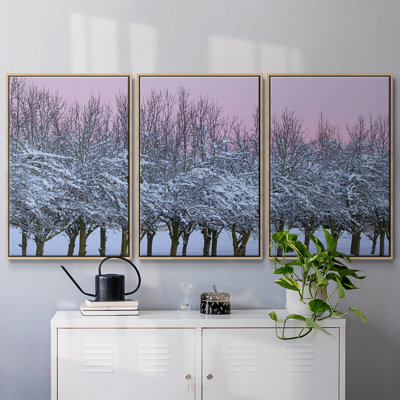 Winter's Beauty, 3 pièces
