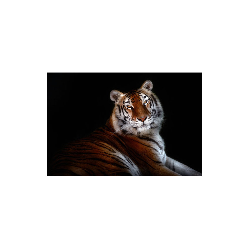 Wrapped Canvas Print, 50.8 cm H x 76.2 cm W