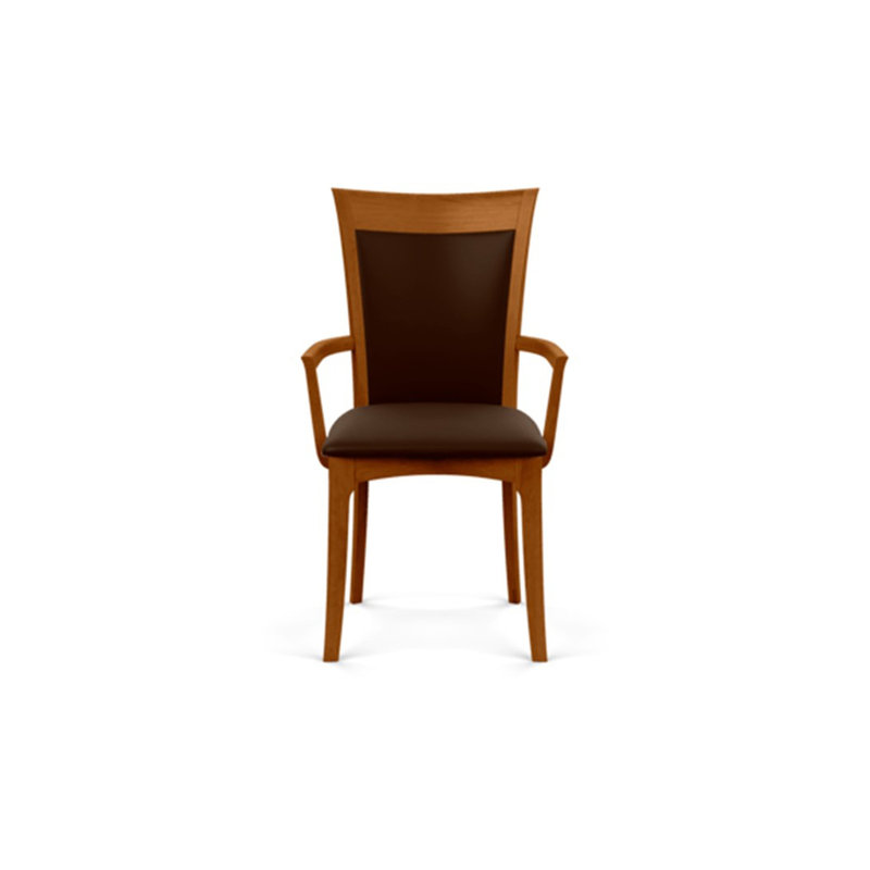 Morgan 19.25'' H Upholstered Armchair, Autumn Cherry, Coffee