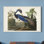 « Pl 217 Louisiana Heron », reproduction d’art sur toile tendue