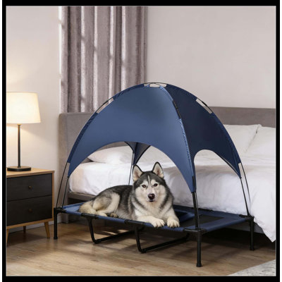 Lit pour animal de compagnie, lit pour chien portatif surélevé