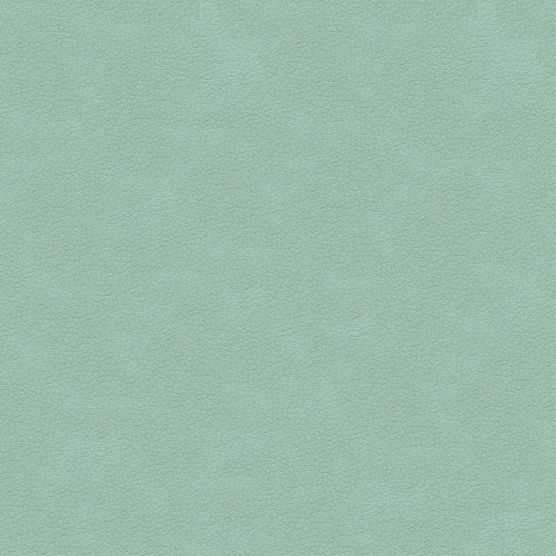 Fabric, Light Blue