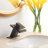 Single-handle Bathroom Faucet-70362442