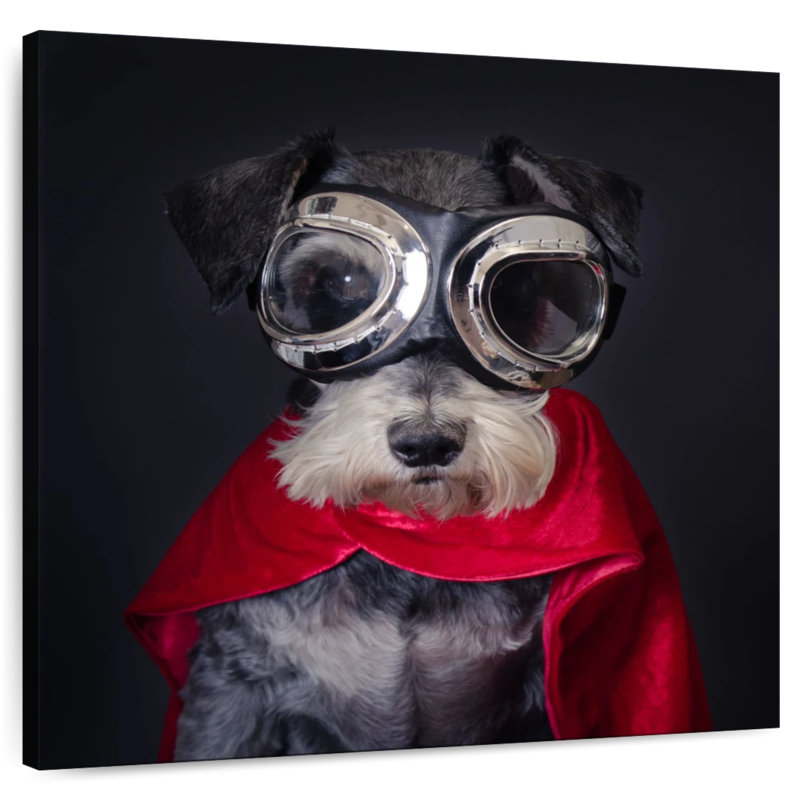 Brampt Superhero Schnauzer, 20" H x 20" W