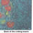 Maters Tomatoes Glass Cutting Board