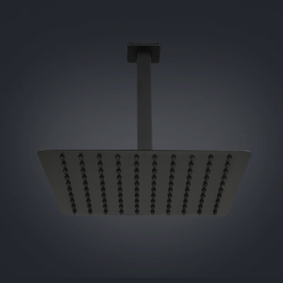 Pomme de douche fixe Rain