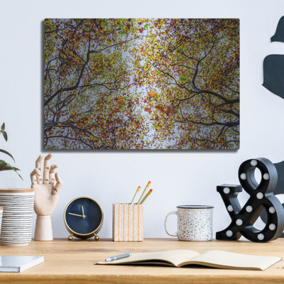 «Autumn Colors» par SD Smart, art mural en métal