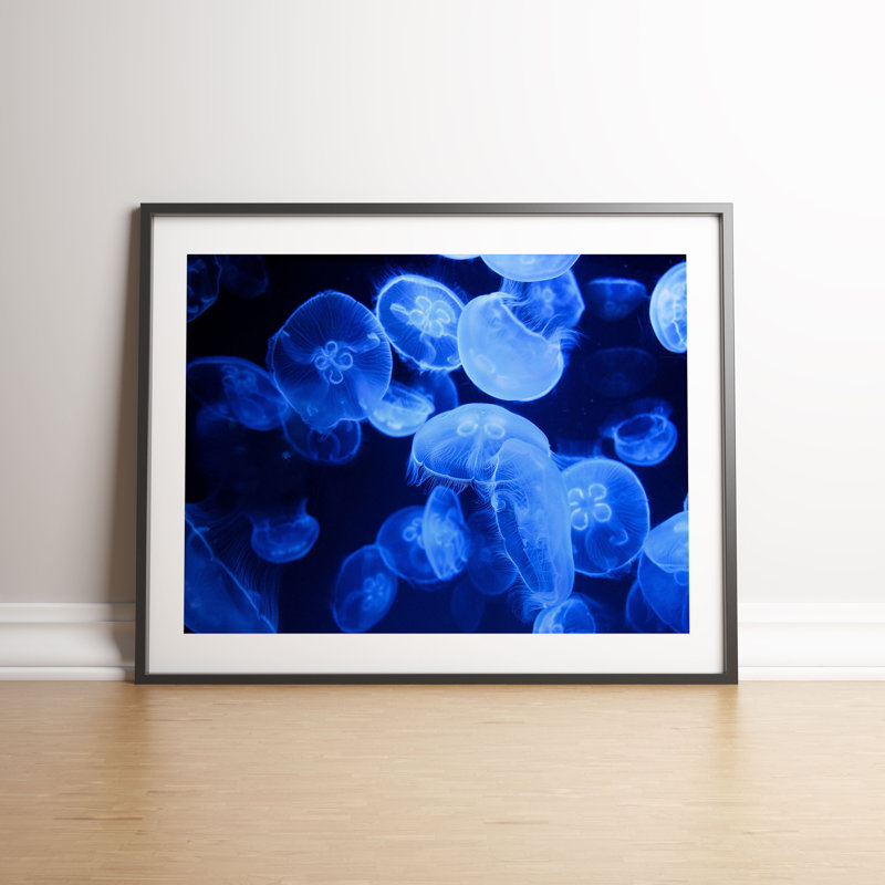 Blue Jellyfish by Vouvart - Single Picture Frame Print