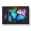 Butterfly Vol.6 Paint Splash - Wrapped Canvas-61883988
