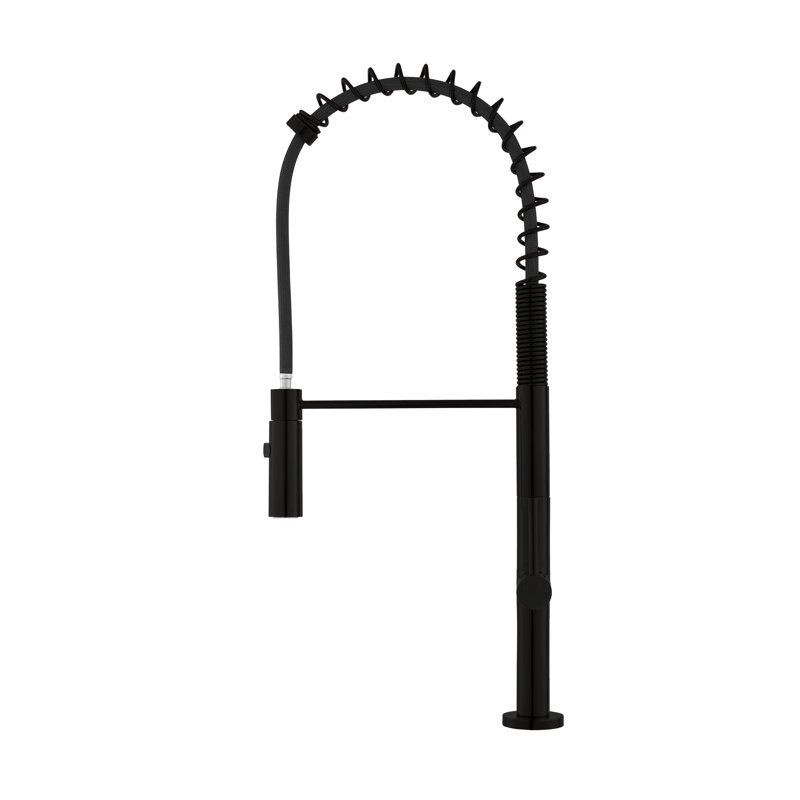 Chalet Single Handle, Pull-Down Kitchen Faucet, Matte Black