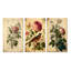 "Rose rose sur parchemin rétro", 3 pièces sur toile-51225383-51225404
