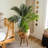 3ft. Artificial Golden Cane Palm Tree