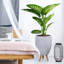 Multi-Directional Striped Egg Planter with Feet-590648293-590648292