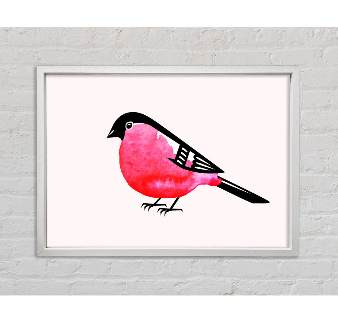 Pink Robin Breast - Einzelner Bilderrahmen Kunstdrucke auf Leinwand