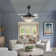 Jacoby-Leyva 20'' Ceiling Fan with Light Kit