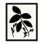 «Athis Silhouette Garden II» par Susan Jill - cadre photo, impression sur papier-59853289-59853274