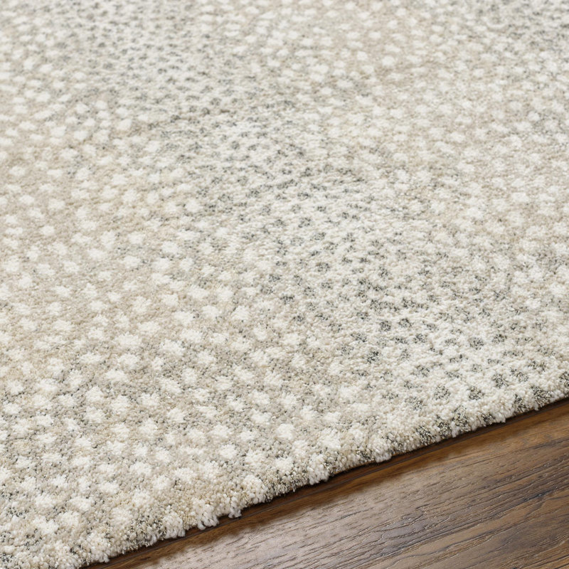 Rectangle Makila Abstract Machine Woven Polyester/Polypropylene Area Rug in Light Gray/Beige, Rectangle 7'10" x 10'